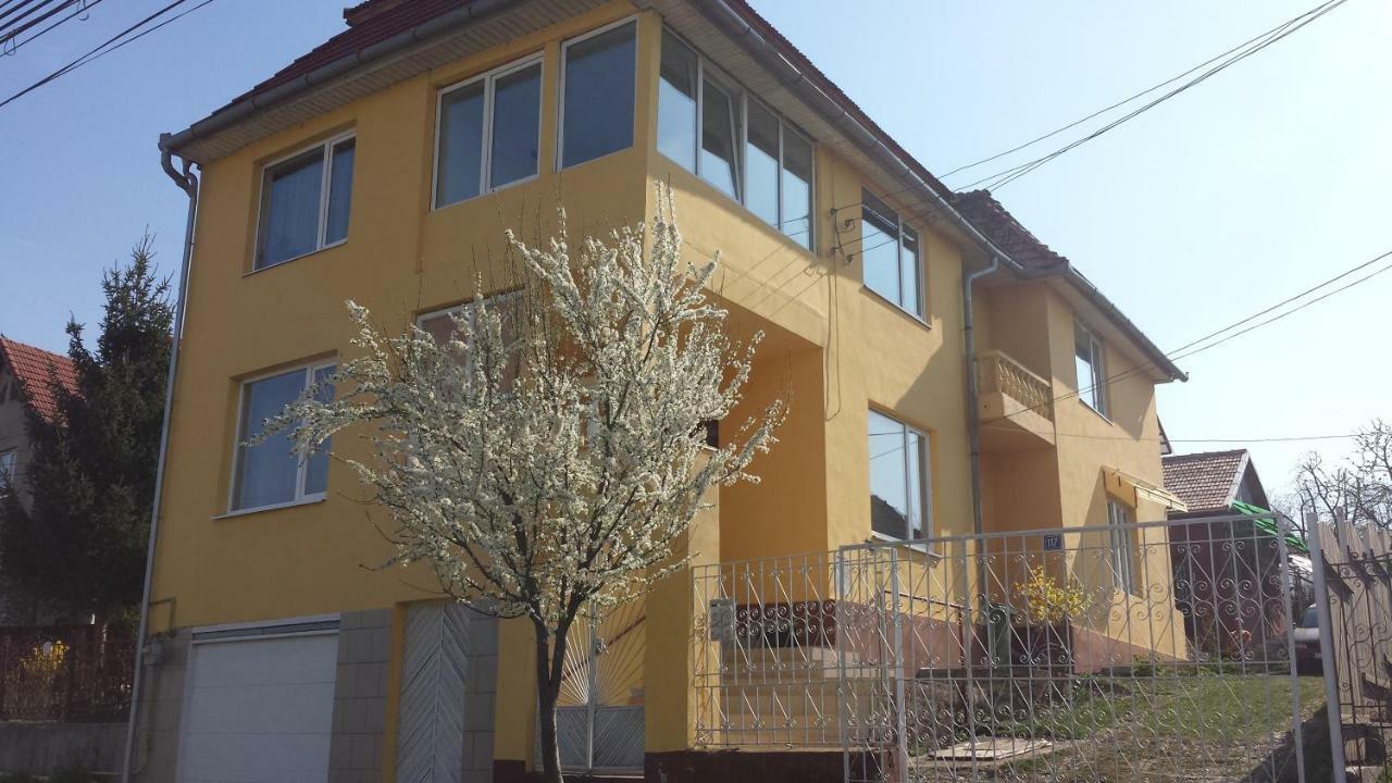 Hotel Casa Salin Turda Esterno foto
